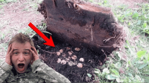 НАШЛИ КЛАДУХУ на ПЛЯЖЕ с УТРА, ЭТО  БЫЛО Совсем НЕОЖИДАННО для ВСЕХ  НАС! В Поисках Клада от Влада!