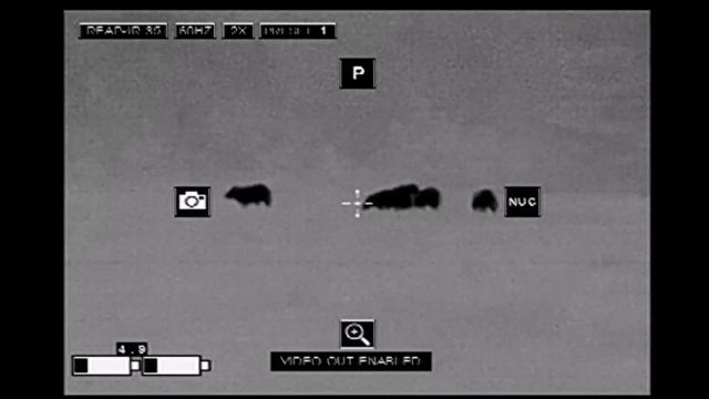 Best Thermal Night Hunting Videos with the Trijicon REAP-IR | 48 Hogs Down смотреть онлайн