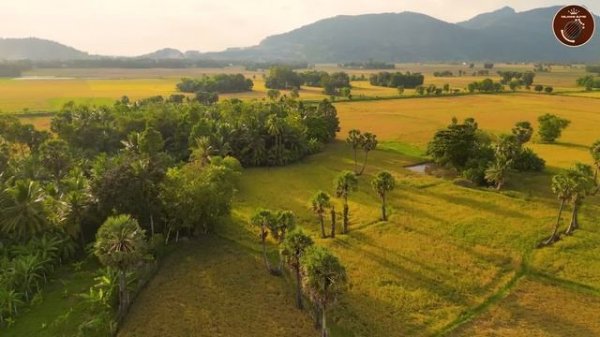 The Best Guitar Songs in the World Make You Passionate and Forget All the Troubles of Life