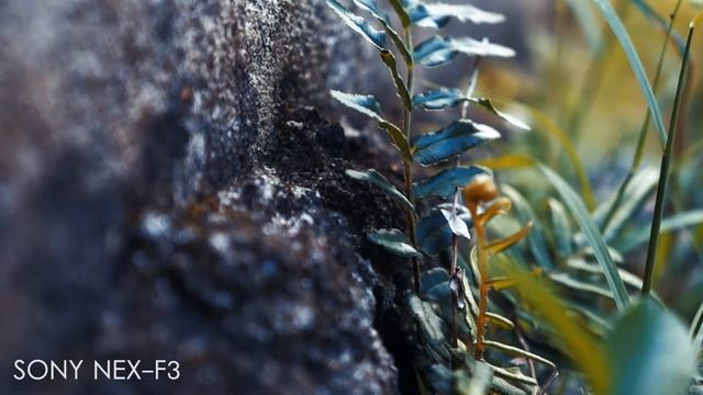 SONY NEX-F3 VIDEO TESTE смотреть онлайн