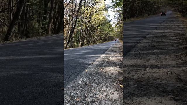 Калина спорт на прогулке #kalina #lada #speed #tuning #машина #black #auto #autumn смотреть онлайн