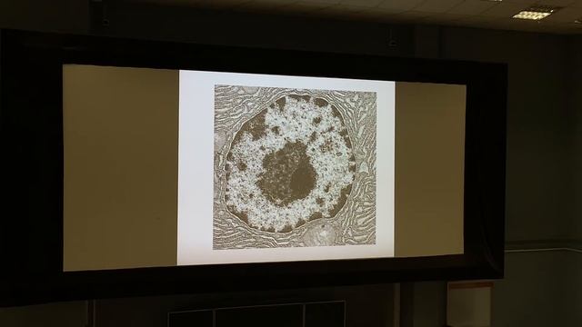 Лекция 4. Консультация к коллоквиуму 1. Лекция Глинкиной (2 часть) смотреть онлайн