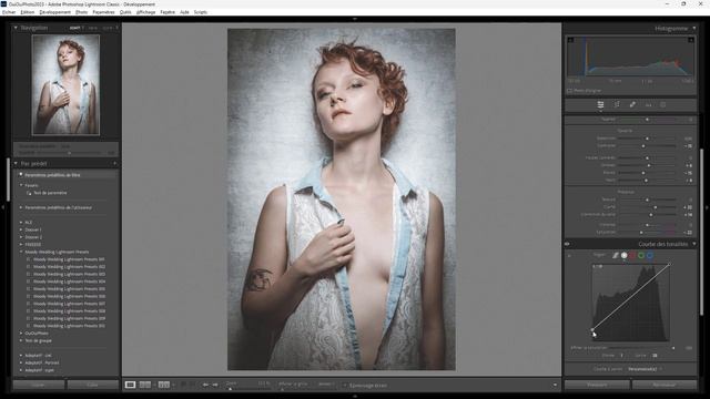 Lightroom mais encore 165 - Utilité des presets смотреть онлайн