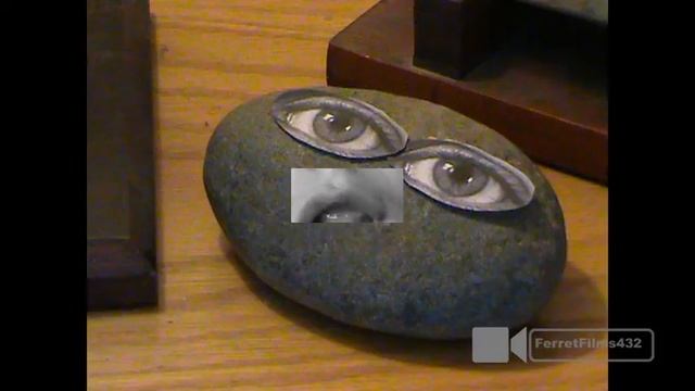 My Talking Pet Rock смотреть онлайн