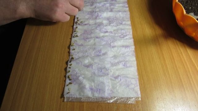 Проверка старых семян цинии на всхожесть смотреть онлайн