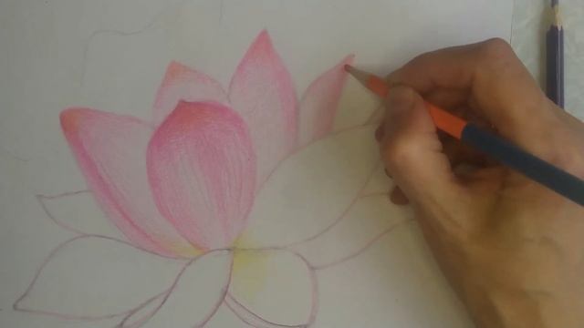 "Водяная лилия", 1 часть смотреть онлайн