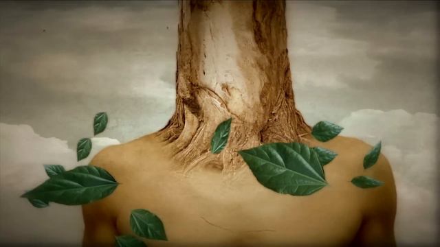 Silversun Pickups - The Royal We (Official Music Video)