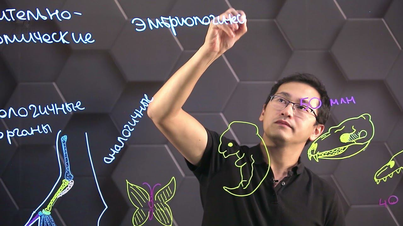 Доказательства эволюции. 10 класс. смотреть онлайн