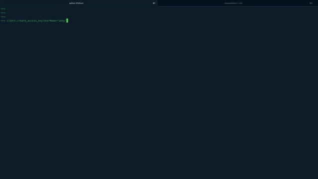 Working with AWS IAM using Boto3 смотреть онлайн