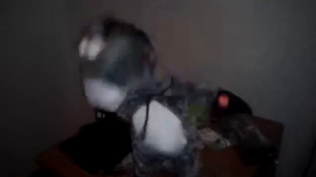 Бешенный осел смотреть онлайн