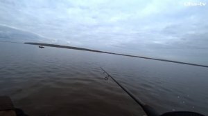 Рыбалка на р. Кама. Неожиданный Судак и увесистая Щука