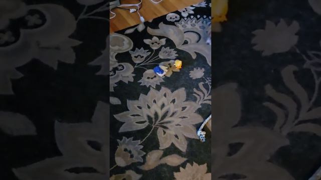 toy chick attack #dog #dogoftheday #animals #dog #jackrussell #viral смотреть онлайн