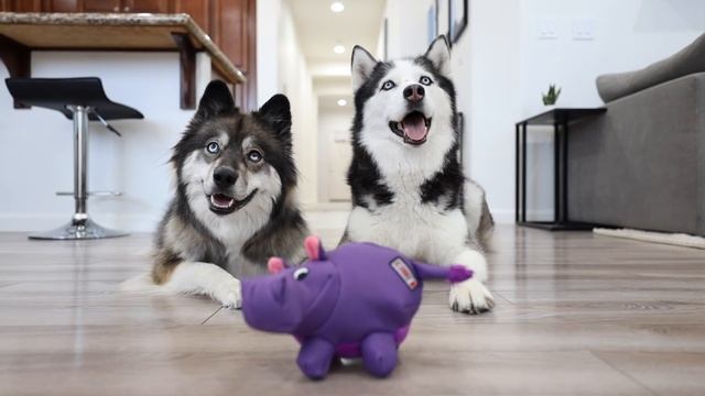 When there's only one toy left... смотреть онлайн