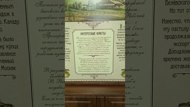 Tula. Тула - город герой. Достопримечательности. Кошка в камуфляже осеннем. Чистый парк. Вороны итд смотреть онлайн