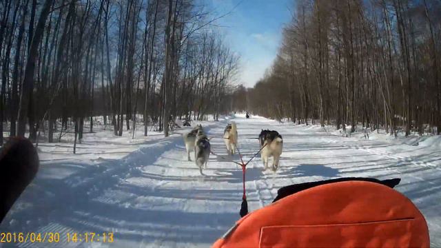Видео5 Соревнования по ЕС Сахалин 17.02.2019 смотреть онлайн
