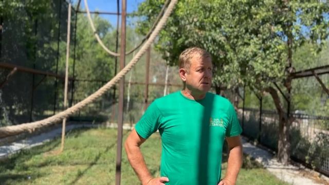 УРА! Люсю, Степку и Маняшку переселили в новый ОГРОМНЫЙ ВОЛЬЕР вместе))) смотреть онлайн