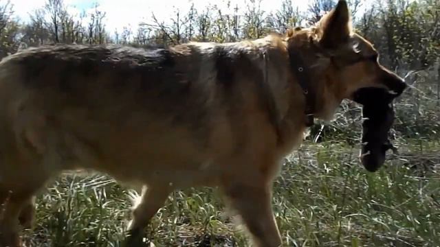И снова Найда смотреть онлайн