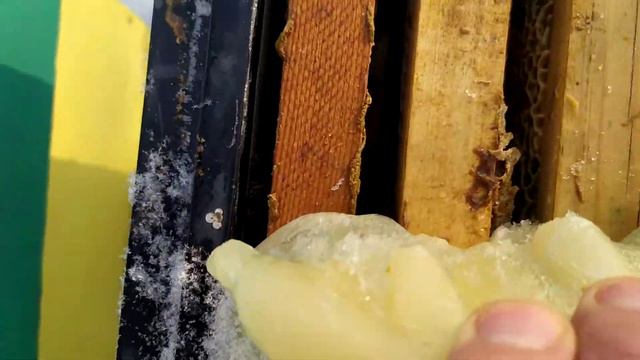 как спасти матку с горстью пчел зима смотреть онлайн