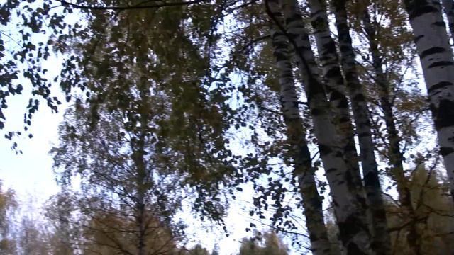 Falkenbach - Eweroun (Instrumental & Vocal Ivan Cover) смотреть онлайн