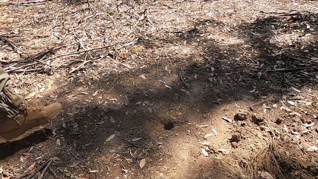 GPZ 7000 Coil Shootout -  Nugget FInder Z Search 17