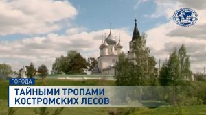 Тайны Большого Золотого кольца России. Тайными тропами костромских лесов.