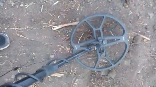 Копаем с Quest Q20 с новой катушкой NEL Tornado. смотреть онлайн