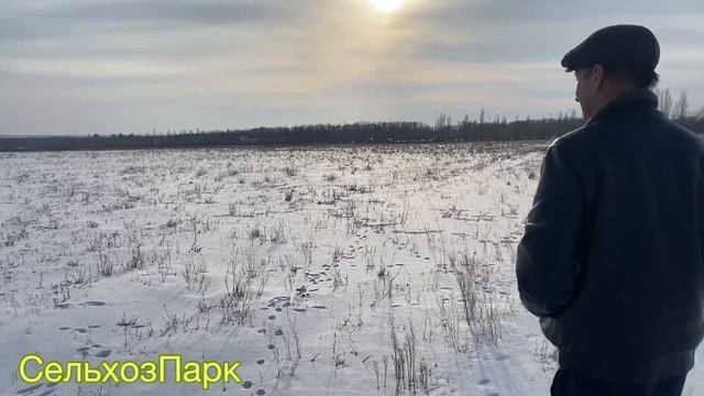 Идём на риск | 100 гектар Рейграс | для заготовки тюков смотреть онлайн