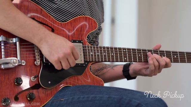 Golden Fleece Mini Fuzz Pedal played by Joey Landreth смотреть онлайн
