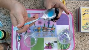 Артишок из Вьетнама: инструкция по применению / вытяжка из артишока / артишок полезные свойства