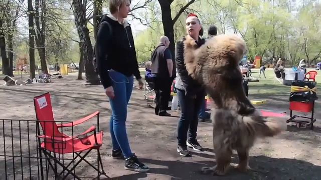 Гордость Императора Ортензия смотреть онлайн