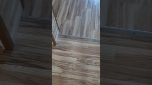 Линолеум или ламинат для тёплого пола?