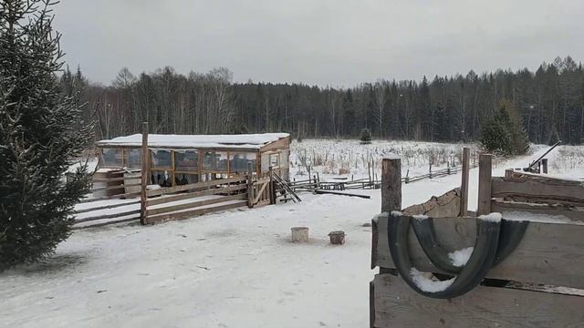 ТОПИМ САЛО "смАлец" от мангалицы смотреть онлайн