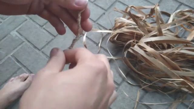 ВЕРЕВКА ИЗ ДЕРЕВА В ЛЕСУ!КАК!?BUSHCRAFT смотреть онлайн