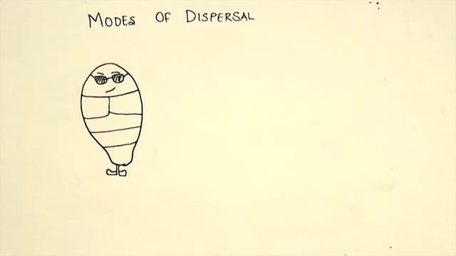 Life Cycle Of Alternaria Alternata
