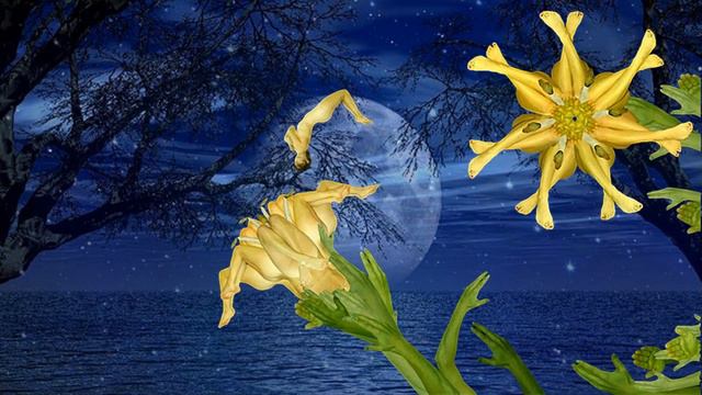 Strange art смотреть онлайн