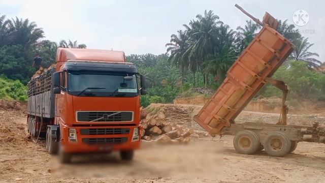 volvo fm13/480 trailer transport || truck modified & volvo fl10 truck[LoggingTruck] смотреть онлайн