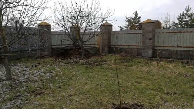 В какую землю мы сажаем деревья? смотреть онлайн