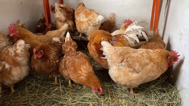 Утро 8 Марта 💝 Ответ на Ваши вопросы✅ смотреть онлайн