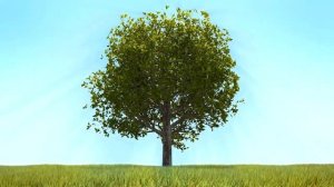 Анимация роста дерева