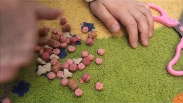 ПОКУПКИ ДЛЯ ШИНШИЛЛЫ - У шиншиллы снова PARTY - Уход и содержание шиншилл смотреть онлайн