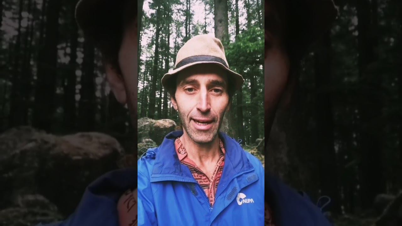Мой неудачный эксперимент с питанием. смотреть онлайн