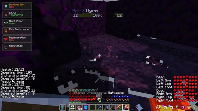 How To Get A Golden Book Wyrm! Updated RLCRAFT 2.9! Ep. 35 смотреть онлайн
