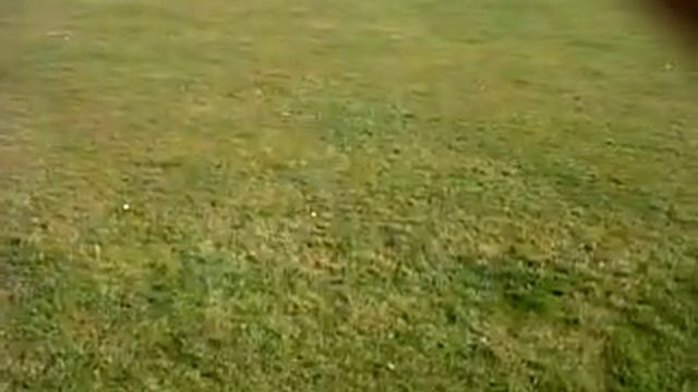 1:8 Nitro 4WD Buggy Thunder Tiger смотреть онлайн