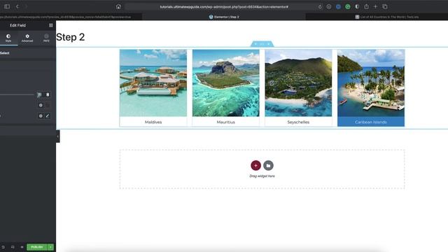 Create a Multistep Form with Piotnet Addons for Elementor (PAFE) смотреть онлайн
