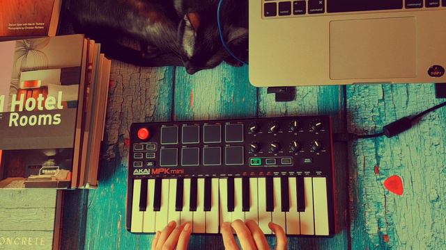 LoFi with my cat! Akai MPK Mini 2021 смотреть онлайн