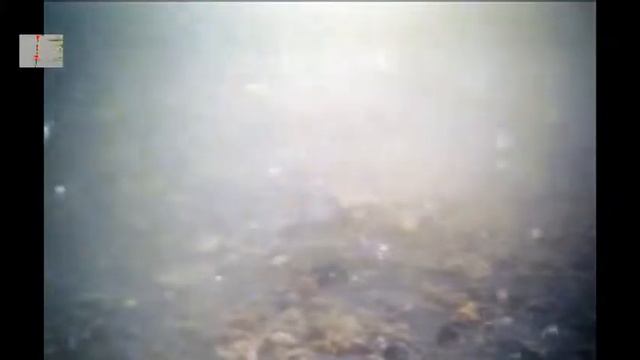 Поклевка ЛИНЯ под водой. Насадка кукуруза на волосе. Подводная Съемка, рыбалка, fishing смотреть онлайн