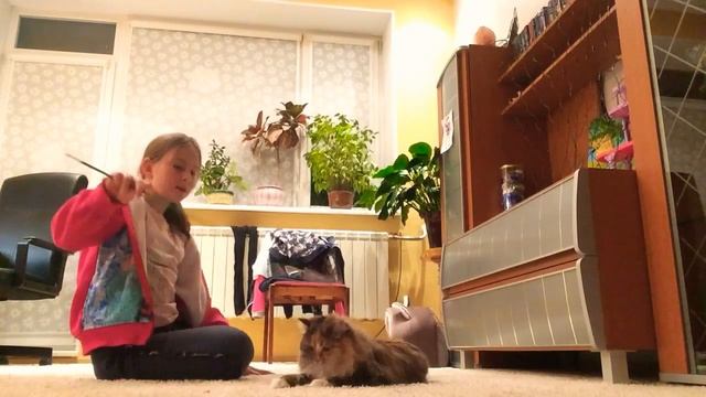 Как научить кошку выполнять команды? Дрессировка кошек!!! Рубрика " НЕДЕЛЯ КОТИКОВ "? смотреть онлайн