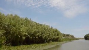 рыболовная база отдыха "Камышовый рай"