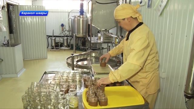 Каракол шаары \ бал өндүрүү. 09 09 2022 смотреть онлайн
