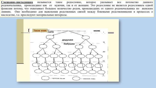 Методика генеалогии.mp4